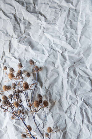 dried flowers lie on gray crumpled paper backgroundの写真素材