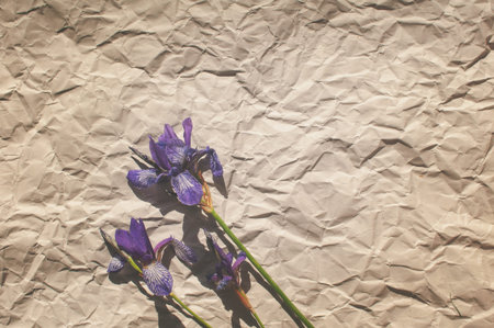 wildflowers of purple iris are collected in a bouquet with green leaves on a background of crumpled...