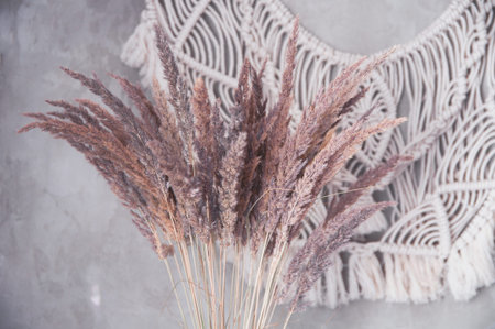 bouquet of dried wild flowers on the background of a concrete wall with a macrame panelの写真素材