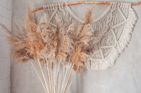 dried wild flowers in boho style in the living room near the concrete wallの写真素材