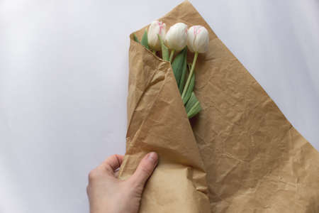 bouquet of white tulip flowers is wrapped by the girl's hand in craft paper on a white paper backgroundの写真素材