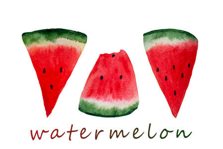 Fresh red watermelon slices on white background. Collage watercolor illustration.の写真素材