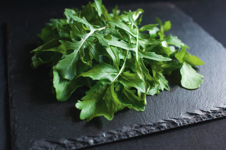 fresh arugula lying on a black boardの写真素材