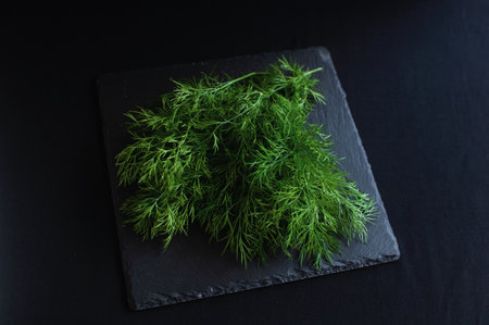fresh dill lies on a black boardの写真素材