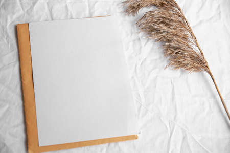 Empty white card with envelope, pampas grass. Simple minimal flat lay on white textile with white blank and letter yellow colorの写真素材