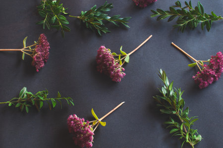 Background of pink flowers and leaves on a black background. Sale concept on dark backgroundの写真素材
