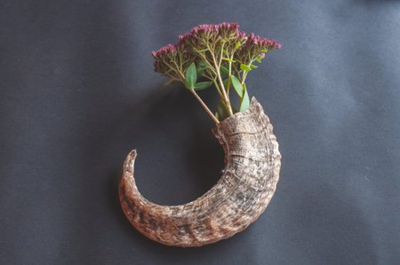 real animal horn with flowers like in a flower pot on a black background
