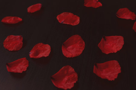 delicate red poppy flower petals laid out in a pattern on a dark backgroundの写真素材