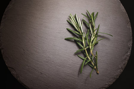 Rosemary herb on a gray stone board in a round shape on a black backgroundの写真素材