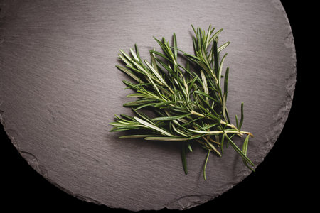 Fresh rosemary twigs on a black slate plate. dark background.の写真素材