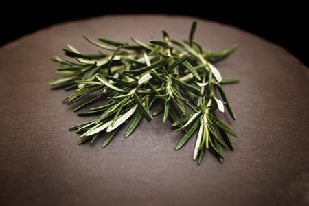Fresh rosemary twigs on a black slate plate. dark background.の写真素材
