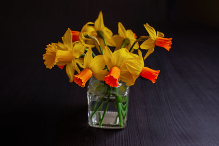 Bright yellow daffodils arranged in a transparent vase on a black background. Flowers create contrast and can be used for interior design or to create beautiful postcards.の写真素材