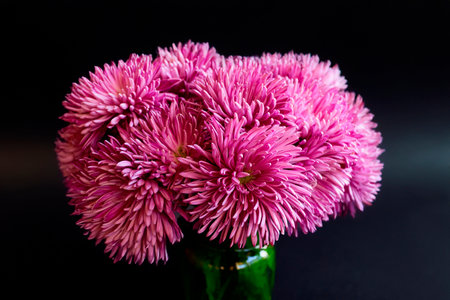 bouquet of flowers pink chrysanthemum on black background texture of watercolor paper in glass square vaseの写真素材