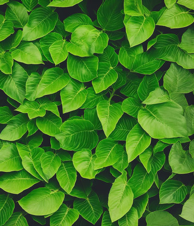 Green leaves background. Top view, flat lay. Nature concept.