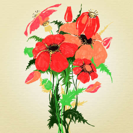 marker drawing bouquet with poppyの写真素材