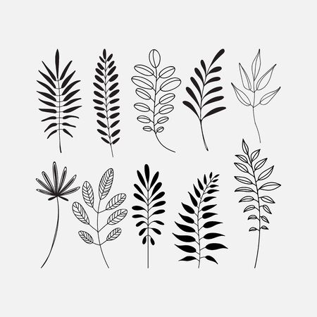 Vector leaf icon set. Silhouette and outlined different leaves of trees.のイラスト素材