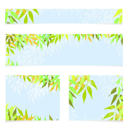 Set of different size vector banners with green leaves. Spring or summer nature backgroundのイラスト素材