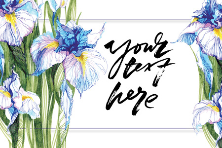 Hand drawn artistic background with copy space. Botanical motif by hand. Marker drawn blue iris flowers for backgrounds, greeting cards, placards, posters and banners. Vector illustration.のイラスト素材