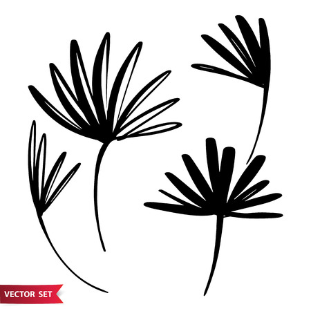 Vector set of ink drawing palm leaves, monochrome artistic botanical illustration, isolated floral elements, hand drawn illustration. Hand drawn botanicals set. Monochrome minimalistic botanical motif for designs.のイラスト素材