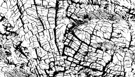 Distressed overlay texture of rough surface, old tree stump, rings on tree. Grunge background. One color graphic resource.のイラスト素材