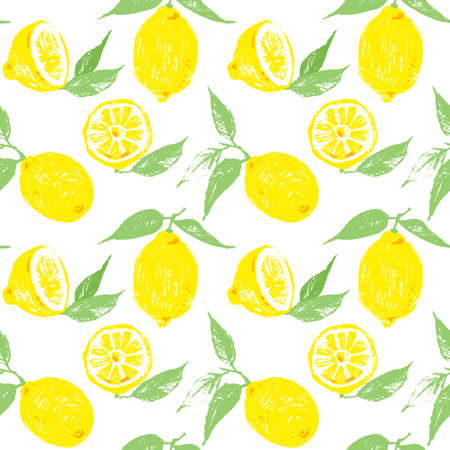 Seamless vector pattern with lemons. Lemon fruits and leaves as repeatable background. Hand drawn citrus fruits for backdrop.の写真素材