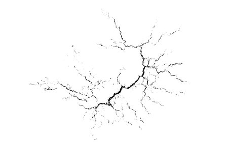 Vector overlay abstract texture. Natural complex crack element on white background. Organic grunge one color surface.のイラスト素材