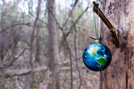 A Christmas ball in the form of a globe, weighs on a dry tree in the forest.の写真素材