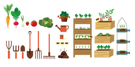 set of different urban orchard, vector illustration, carrot, radish, garlic, tomato, strawberries, cauliflower, seeds, compostのイラスト素材