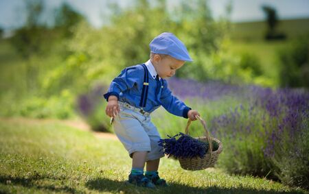 A small boy standing on a beautifully blooming lavender field