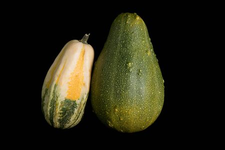 colorful pumpkin on a black backgroundの写真素材