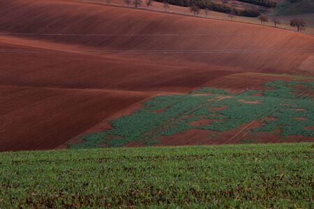 Beautiful brown Czech Moravian fields at autumn