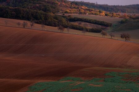 Beautiful brown Czech Moravian fields at autumnの写真素材