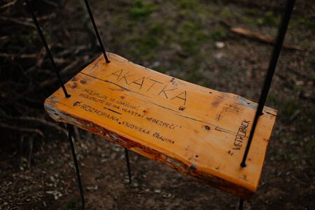 Hanging swing with inscriptions carved on it