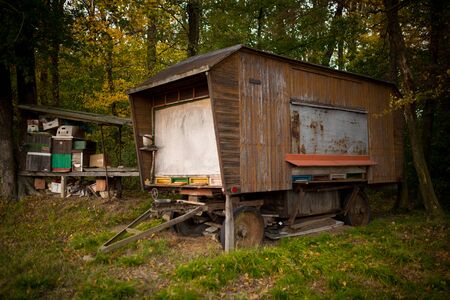 Cart and chests of Moravian farmers standing on the edge of the forestの写真素材