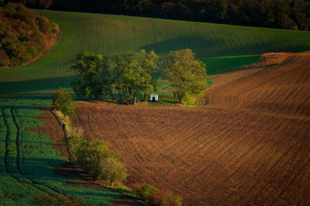 A chapel standing in the middle of beautiful Moravian fieldsの写真素材