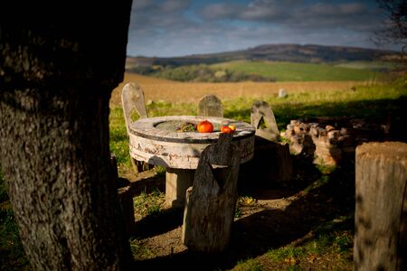 Picnic under a decorated deciduous tree. Sunny autumn day. Czech Republic, Moraviaの写真素材