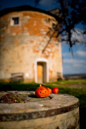 Picnic under a decorated deciduous tree in the background a stone windmill. Sunny autumn day. Czech Republic, Moraviaの写真素材