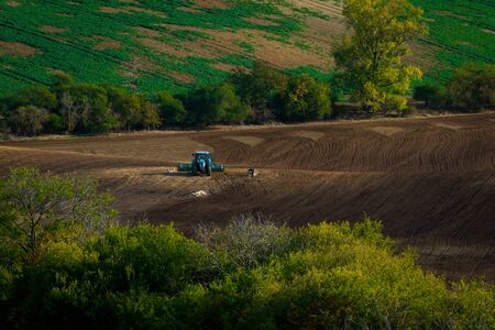 Work with an agricultural tractor in Moravian fields.の写真素材