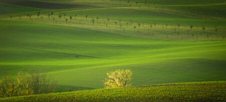Wonderful landscapes of autumn Moravian fields in the golden hour.の写真素材