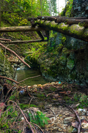 Wooden ladders over the stream in the gorges of the Slovak Paradise. Slovakiaの写真素材
