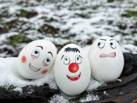 Funny eggs. Faces on eggs. Eggs in a winter sceneryの写真素材
