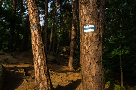 Marking the hiking trail in blue, painted on the rock. Marking will lead us to our destination without wandering along the way.の写真素材