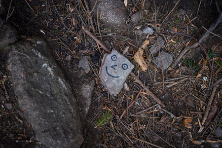 A stone with an drawn face lying on a tourist trail. polish mountainsの写真素材