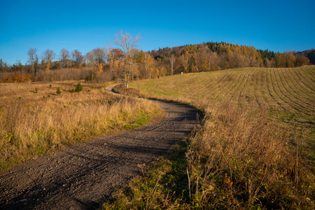 A road winding through fields and meadows. Part of the hiking trail. polish mountainsの写真素材