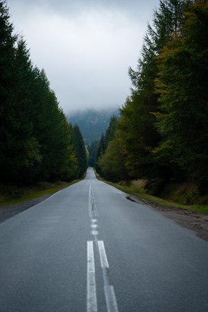 A straight section of an asphalt road in the mountains through the forest. polish mountains