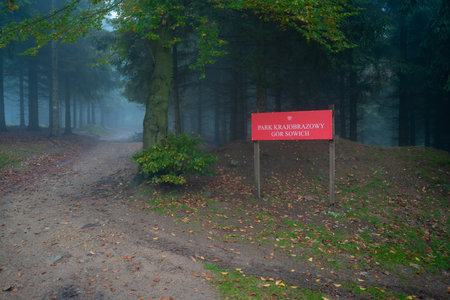 Entrance to the landscape park. Foggy and humid weather in the background. polish mountainsの写真素材