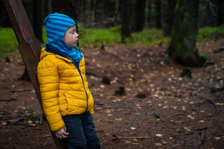The child rests on the mountain trail, standing, leaning on the post. polish mountainsの写真素材