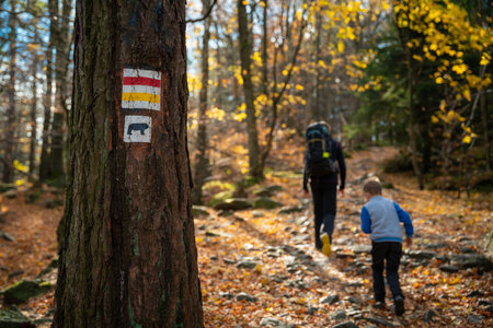 Mum and child are walking along the mountain hiking trail. Family spending time. polish mountainsの写真素材