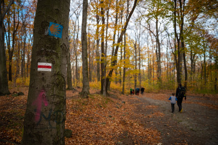 Mum and child are walking along the mountain hiking trail. Family spending time. polish mountainsの写真素材