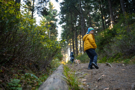 A mother with a child and a dog are walking along the mountain hiking trail. Family spending time. polish mountainsの写真素材